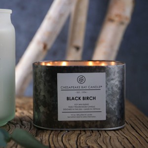 Chesapeake Bay Candle Heritage Double Wick Black Birch Scented Jar Candle CESA1147